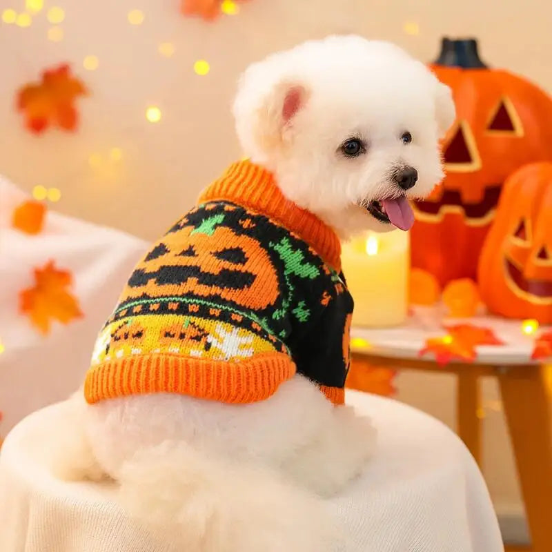Pumpkin & Ghost Pet Sweater