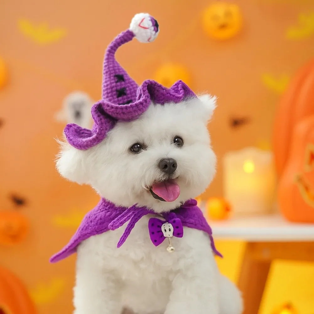 Mini Witch Pet Hat