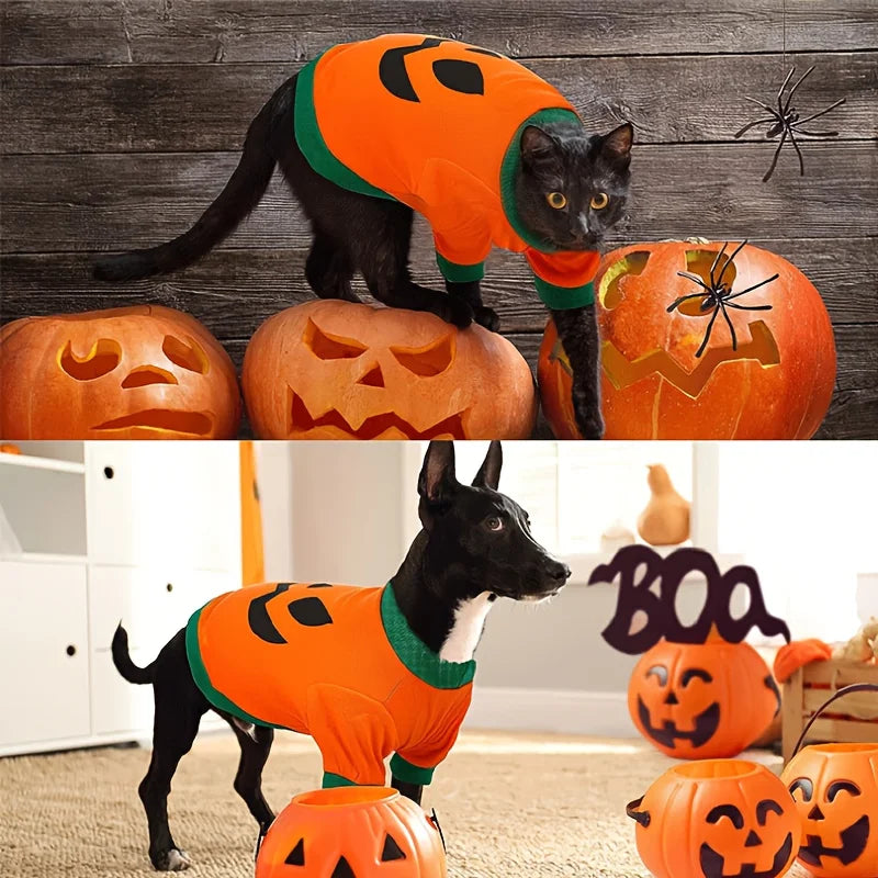 Pumpkin Pet Hoodie